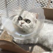 RE105的个人资料头像