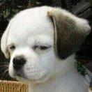 a蒜的个人资料头像