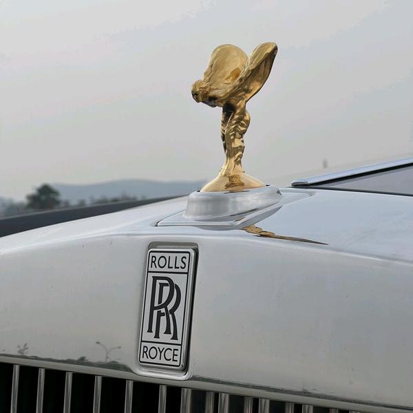 成都尚尚连锁玛莎专营头像