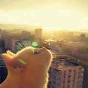 小石榴籽的个人资料头像