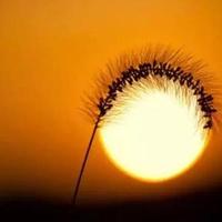 ck好人一生平安头像