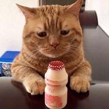 金木0o8X头像