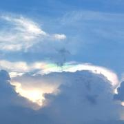 魏亚贤的个人资料头像