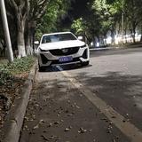 Sak1zZ头像