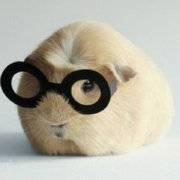 J4ck_Chan的个人资料头像