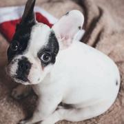 烦了945的个人资料头像