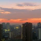 小岛952头像