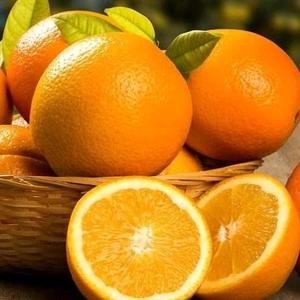 橙子头像