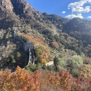 AI解构者的个人资料头像