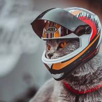 京城铁人俱乐部会员头像