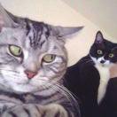 无为酱98317的个人资料头像