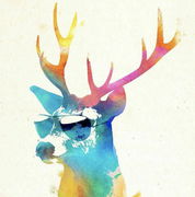 迷路的大螃蟹的个人资料头像