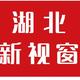 湖北新视窗专题栏目的王导头像