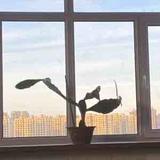 浦东门口头像