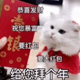Qxu雪痕头像