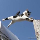 蓝莓被注册的个人资料头像