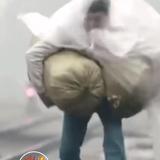 博学多才的魔法牛头像