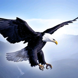 打铁王爱跑步头像