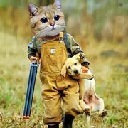 A浮沉的个人资料头像