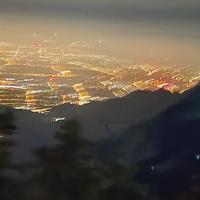 飞翔的小猪鸟头像