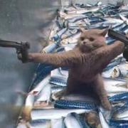 0000FF757的个人资料头像