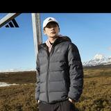 喜庆的小猫1Hs头像