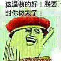 一只乌龟爬爬爬头像