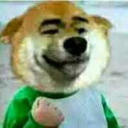 yuxiyy的个人资料头像