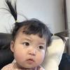 J头像