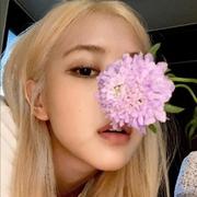 Ros82的个人资料头像