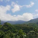 阿坝麒麟哥头像