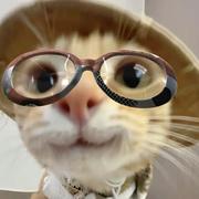 17872的个人资料头像