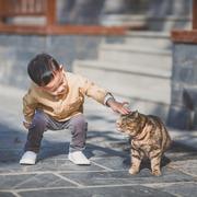 老衲有拉芳的个人资料头像