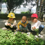 哇噻类头像