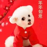 沐兮2546头像