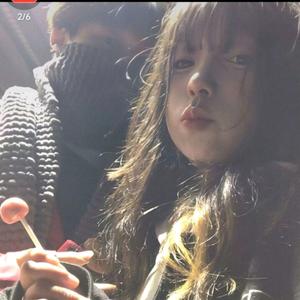 飞翔的渡渡鸟头像