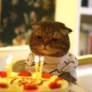 全国憋气大赛亚军的个人资料头像