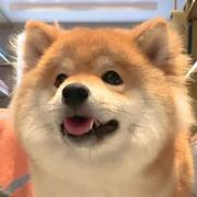 Amor179的个人资料头像