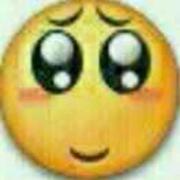 信誉第一的个人资料头像