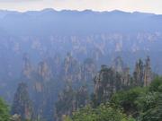 Minglee的个人资料头像