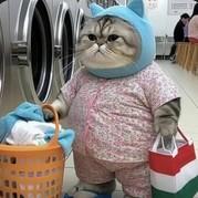 yerwer的个人资料头像