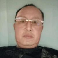 自由凤凰城头像