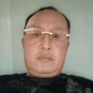 自由凤凰城头像