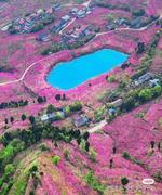 用户9572093423521的个人资料头像