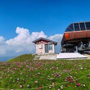 用户50834232183的个人资料头像