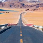 金太郎的个人资料头像