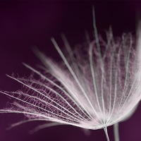 一见钟情情未了头像