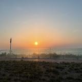 优雅奶酪lHu头像