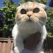 恋爱瘾会随着气温降低到达顶峰的个人资料头像