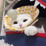 用户4407899807586头像